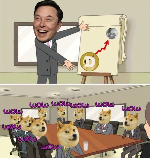 The image is a two-panel meme: the top panel shows Elon Musk presenting a chart with Dogecoin going "to the moon," while the bottom panel depicts a boardroom full of executives with Shiba Inu (Doge) faces, each captioned with "WOW." This humorously illustrates the post's claim about a "leaked picture from latest Xmoney staff meeting," satirizing the idea that Musk's financial ventures are run by Doge-loving hype rather than serious leadership.