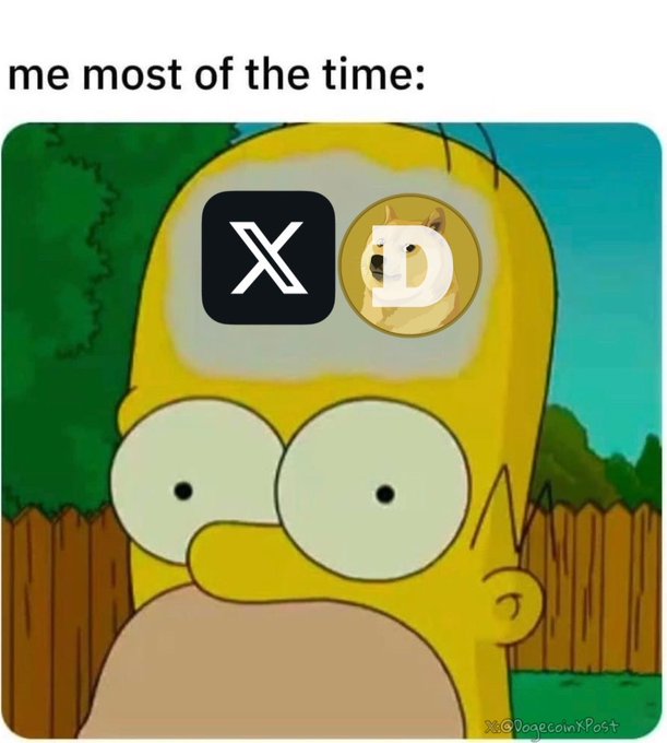A "Homer Simpson brain has two bug eyes" meme captioned "me most of the time:" where one eye is the X logo and the other shows Dogecoin (DOGE).