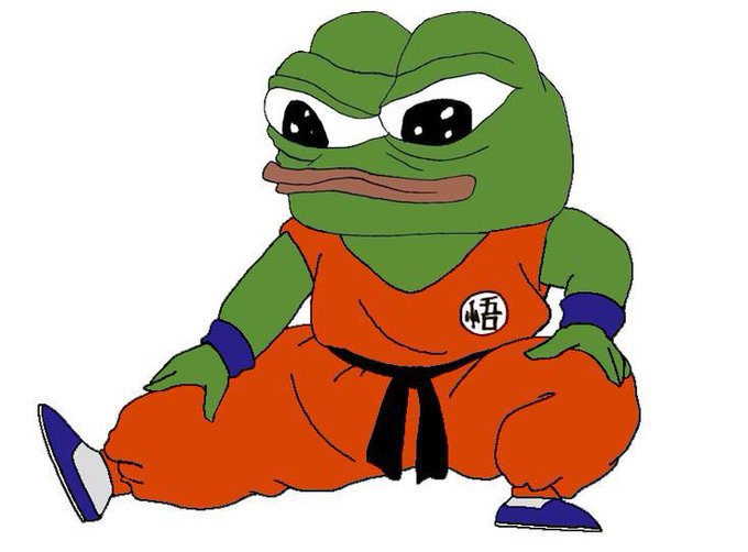 A cartoon illustration of a muscular Pepe the Frog character wearing an orange martial arts gi with a black belt and a Chinese character on the chest, sitting in a wide stance.