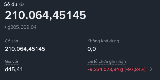 A cryptocurrency wallet screenshot showing a balance of 210,064,45145 units, valued at approximately $205,609.04, with an unrealized loss of -$9,334,073.84 (-97.84%).