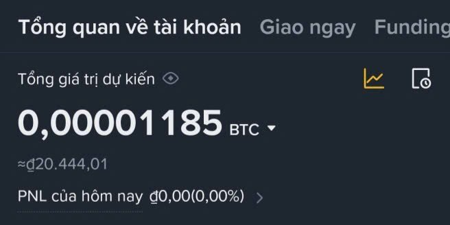 Account overview screen in Vietnamese showing total estimated value of 0.00001185 BTC (approximately $20,444.01) with 0.00% PNL for the day, featuring 'Tổng quan về tài khoản' (Account Overview) tabs.