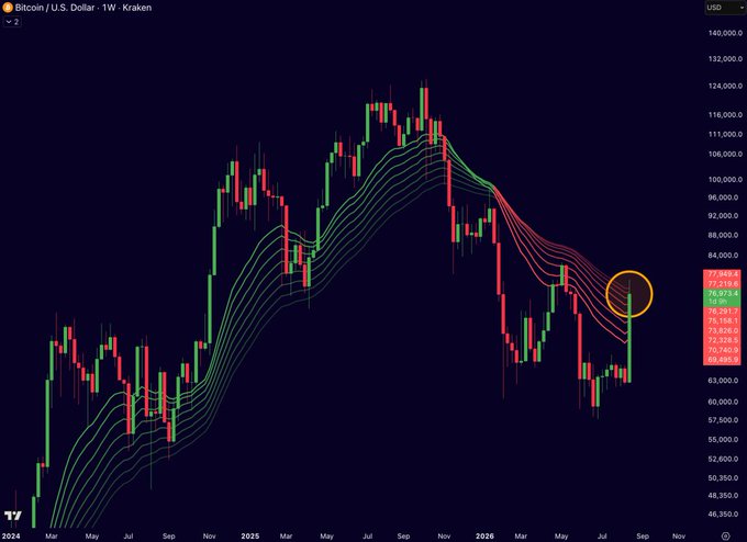 A Bitcoin/U.S. Dollar weekly candlestick chart on Kraken showing a circled recent price point around $77,950 with technical indicator ribbons, displaying price data from 2024 through 2026.