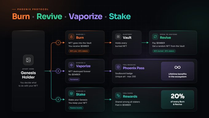A flowchart infographic for the Phoenix Protocol titled 'Burn - Revive - Vaporize - Stake', outlining three choices for Genesis Holder NFT owners.