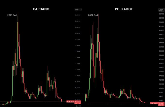 Side-by-side candlestick charts comparing Cardano ($ADA) and Polkadot ($DOT) price action from their 2021 peaks to current levels, showing ADA at $0.1442 and DOT at $0.833, visually illustrating the dramatic -95% and -98% declines from their all-time highs.