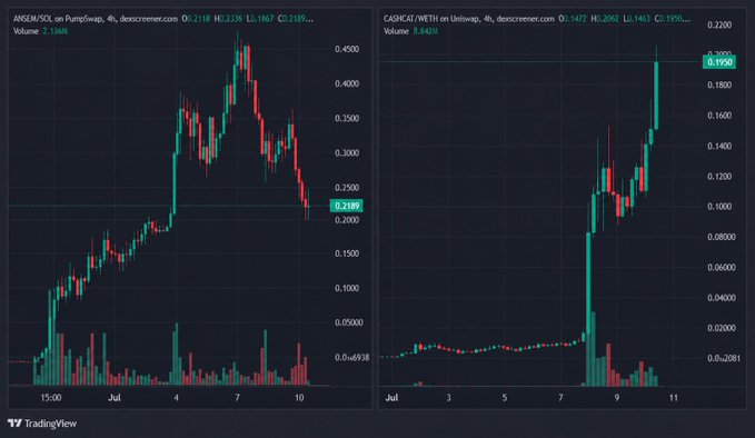 TradingView candlestick charts displaying price action for ANSEM/SOL on PumpSwap and CASHCAT/WETH on Uniswap, both showing significant gains with volume indicators.