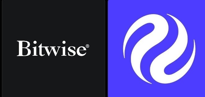 A split graphic features the 'Bitwise' logo in white text on a black background on the left, and a white swirling logo on a blue background on the right.