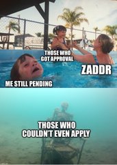 A meme using a layered image of a person in water, with text panels reading "THOSE WHO GOT APPROVAL" (top right), "ME STILL PENDING" (middle left), "ZADOR" (middle right), and "THOSE WHO COULDN'T EVEN APPLY" (bottom).