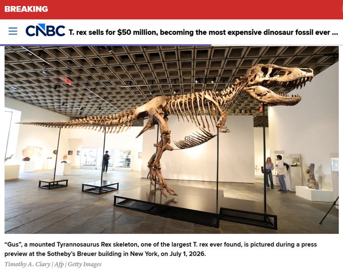 A mounted Tyrannosaurus rex skeleton nicknamed "Gus" is displayed at Sotheby's in New York before its $50 million sale, making it the most expensive dinosaur fossil ever sold. The image supports the Korean post joking that fossil prices are skyrocketing and urging people to quit crypto and go back to school for paleontology.
