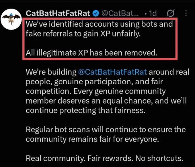 A tweet from @CatBatHatFatRat announcing: 'We've identified accounts using bots and fake referrals to gain XP unfairly. All illegitimate XP has been removed.'