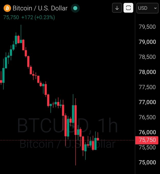 A candlestick chart showing Bitcoin (BTC/USD) trading at $75,750, up $172 (+0.23%) on the 1-hour timeframe, displaying a downward trend from highs near $79,500 before recovering to current levels. This aligns with the post's "GM" (good morning) message highlighting Bitcoin's price at $75,750.