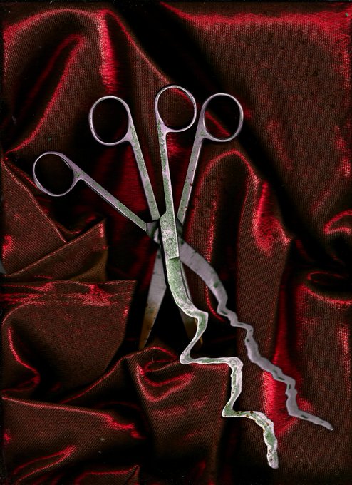 An artistic photograph featuring several pairs of metallic scissors with curved, wavy blades arranged on draped red satin fabric.