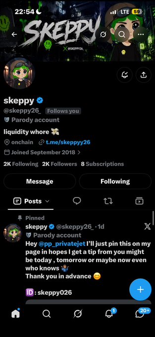 A mobile screenshot shows an X (Twitter) profile for user '@skeppy26', verified with a parody account badge, featuring a pinned post asking for a tip from '@pp_privatejet'.