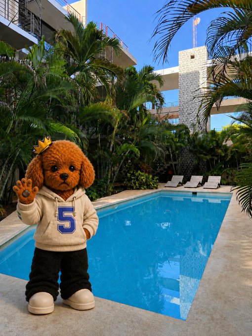 The image features a small brown dog wearing a white sweatshirt with the number 5 on it, standing next to an outdoor swimming pool. The dog appears to be waving at the camera while posing for the photo. The background of the image shows palm trees and buildings, suggesting that this scene takes place in a tropical or warm climate setting.