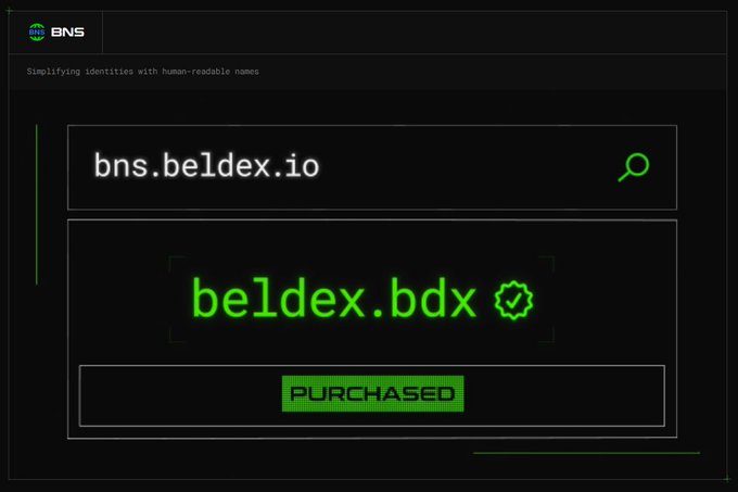 A Beldex BNS (Blockchain Name Service) interface showing the domain 'beldex.bdx' has been successfully purchased via bns.beldex.io.
