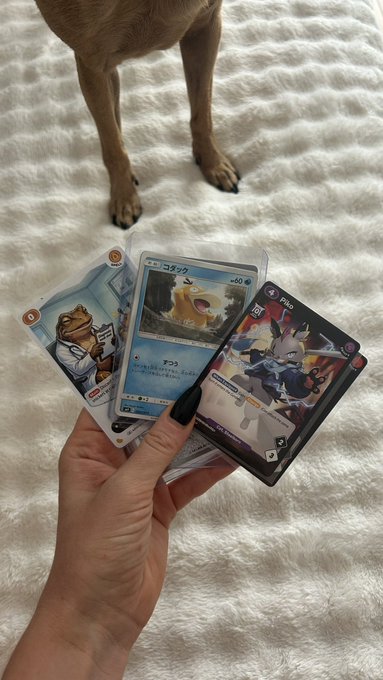 A hand with black nail polish holds up three Pokémon trading cards, including a Japanese 'コダック' (Psyduck) card, with a tan dog standing on a white fluffy rug in the background.