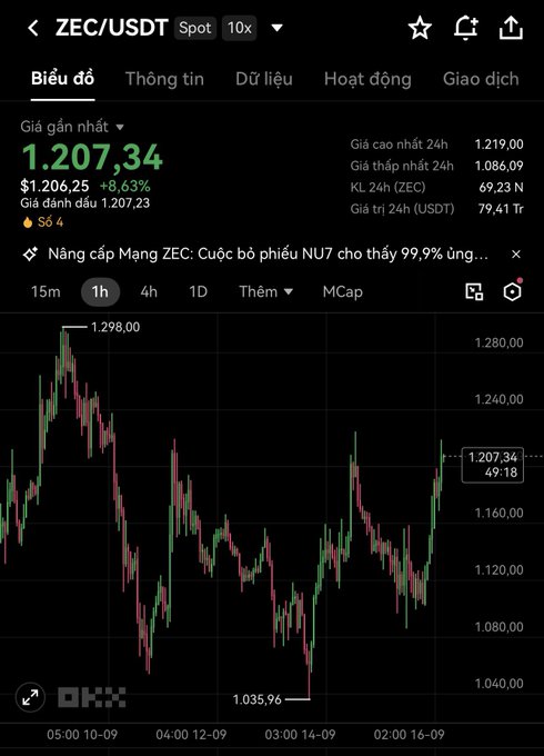 A cryptocurrency trading chart for ZEC/USDT showing a current price of 1,207.34 with an 8.63% increase, viewed on the OKX platform.