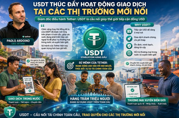 This infographic states that USDT is actively circulating for transactions in new domestic markets, a view expressed by Tether CEO Paolo Ardoino, who describes the stablecoin as a bridge helping younger generations access USD.