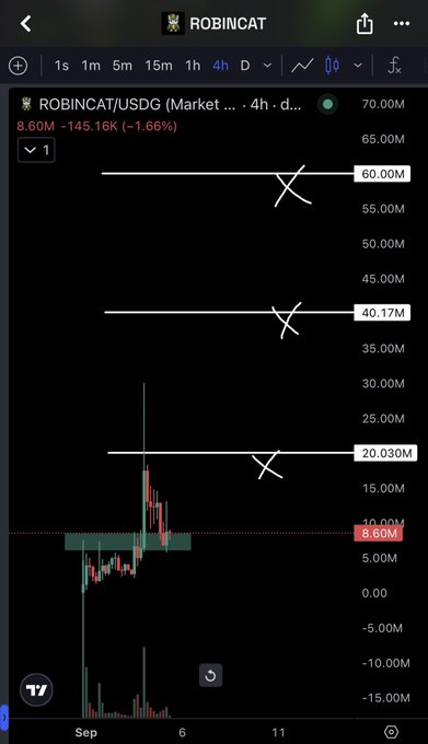 The image shows a 4-hour TradingView chart of $ROBINCAT/USDG on the Market, currently priced at 8.60M with a 1.66% decline, marked with support at 20.030M, 40.17M, and 60.00M resistance-turned-support levels with X markers, alongside an early September candlestick spike that aligns with the poster's note of a 6X initial move, subsequent profit-taking, and a trading plan targeting 20M, 40M, and 60M if support holds.