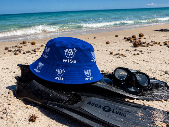 A blue "WISE" bucket hat, snorkel mask, and Cressi Aqua Lung fins rest on a sandy beach beside turquoise ocean waters—a perfect "beach day" setup playfully reminding viewers that the only "hard part" of earning up to 22% APY with Wise Telecom Nodes is keeping track of their wallet login, as shared via app.wisetoken.com.