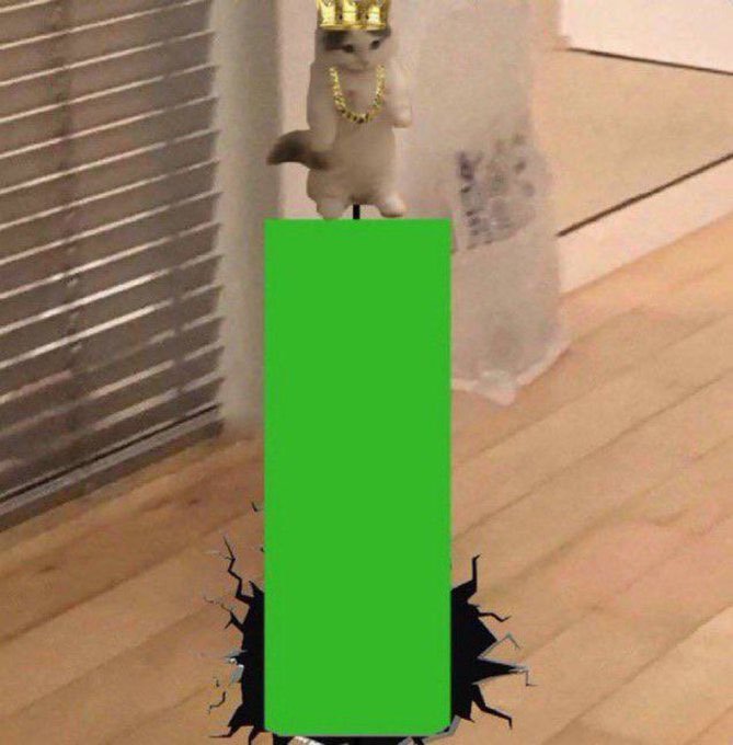 A cat wearing a gold crown and chain stands triumphantly on a green pillar-like shape that appears to burst through the wooden floor of a room with blinds.