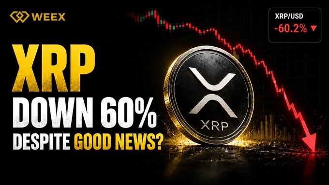 A thumbnail for a WEEET video about cryptocurrency, showing a 3D XRP coin next to a downward red chart trend, with text reading 'XRP DOWN 60% DESPITE GOOD NEWS?' and 'XRP/USD -60.2%'.