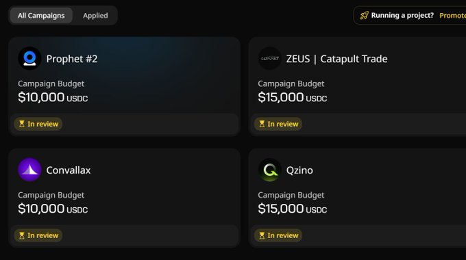 A dashboard displaying four campaigns in review status: Prophet #2 ($10,000 USDC), ZEUS | Catapult Trade ($15,000 USDC), Convallax ($10,000 USDC), and Qzino ($15,000 USDC).
