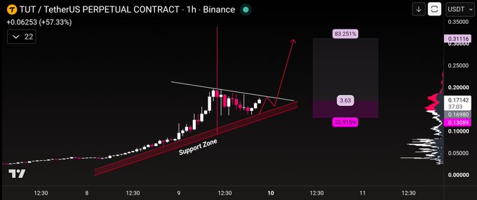 A TradingView chart of TUT/USDT perpetual contract on Binance shows a 57.33% gain (+0.06253) with a rising wedge pattern and red "Support Zone" annotation, illustrating a potential long trade setup with a target above $0.25. The "few risky" caption aligns with the speculative nature of this technical analysis featuring projected resistance at the 83.25% level and support around 23.84%.