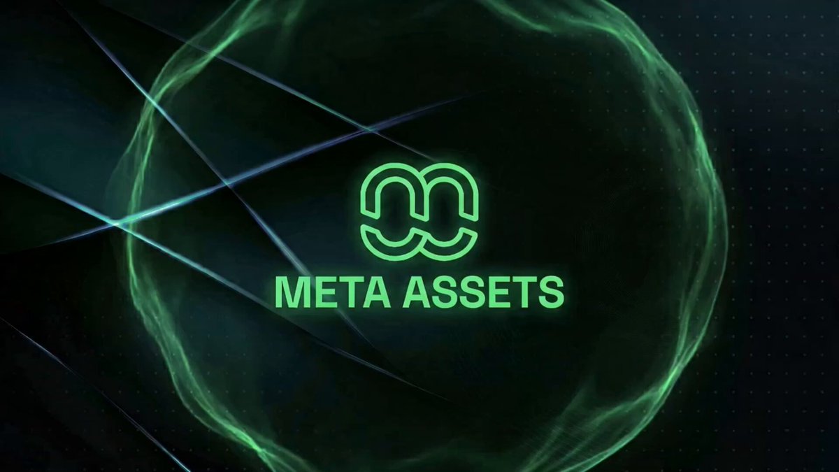 The image features a large, green neon logo that reads "Meta Assets" against a black background with white lines. The logo is positioned centrally within the frame of the image. Below the logo, there's text that says "Meta Assets", which further emphasizes the connection between the logo and the company name.