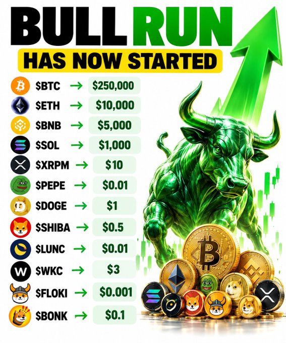 A graphic titled 'BULL RUN HAS NOW STARTED' features a green bull and upward arrow, listing cryptocurrency price targets including $BTC $250,000, $ETH $10,000, $BNB $5,000, and others like $SOL, $PEPE, $DOGE, and $SHIBA.