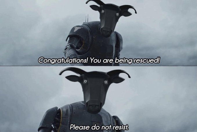 A robotic bovine figure looms ominously in two stacked panels, declaring "Congratulations! You are being rescued!" and "Please do not resist," with its glowing eyes staring directly at the viewer—mimicking the post's warning that the market's "rescue" narrative often masks manipulation, so remaining liquid and not overthinking is the wisest response to the chaos.
