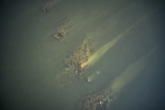An underwater view shows a greenish, murky aquatic environment with a rocky outcrop and what appears to be a long, light-colored submerged object.