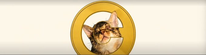 A golden coin features a tabby cat's face within a "C" shape, representing the Solana meme coin $CATE, which the post praises as undervalued compared to other cat-themed Solana tokens like ZCAT and STONK that have crossed $100M market cap.