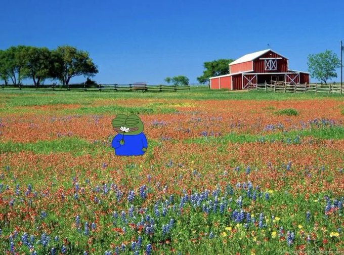 A Peppa the Frog meme character in a blue shirt stands in a field of orange and blue wildflowers with a red barn and trees in the background.