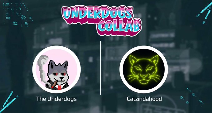 A promotional banner for the "Underdogs Collab" featuring two circular avatars separated by a vertical line: a pixelated gray dog in a pink circle labeled "The Underdogs" on the left, and a glowing neon green cat face in a black circle labeled "Catzindahood" on the right, all set against a dark urban cityscape background.