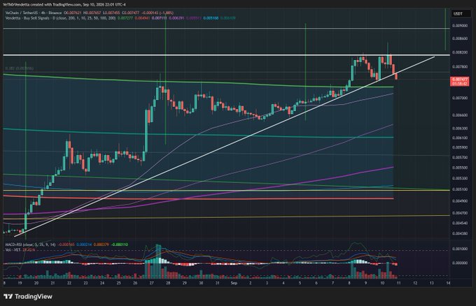 A TradingView chart showing VeChain/USDT on Binance with 4-hour candlesticks, moving averages (9, 20, 50, 100, 200), MACD, and RSI indicators; price is testing a descending trendline near $0.00747 with resistance around $0.00806.