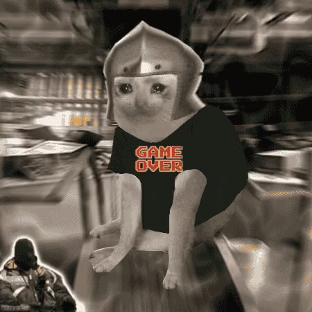 A meme image showing a sad cat wearing a black 'Game Over' t-shirt and a Knight helmet, set against a blurred store background.
