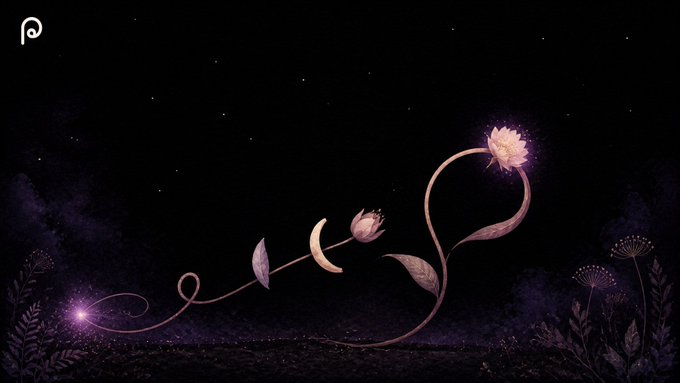 A dark, starry scene features a glowing pink rose, lotus, and other flora intertwined with a crescent moon, accented by a small "p" logo in the upper left corner. The whimsical, celestial imagery evokes the magical and dreamlike aesthetic of PumpFun's v4 hooks release.