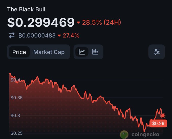 A CoinGecko price chart for 'The Black Bull' cryptocurrency showing a price of $0.299469, down 28.5% in 24H, with a downward-trending red chart.