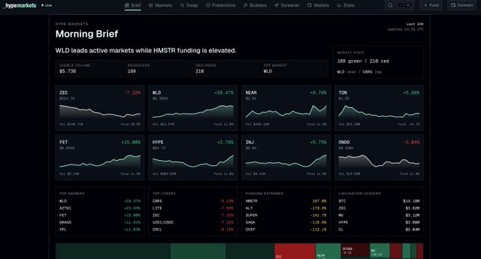 "Hypometrics" is displayed next to "Mornings Brief", suggesting that this section of a website provides daily charts about stocks, options, or equity markets which could be used for making investment decisions.
