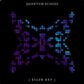 A digital abstract image on a black background features a symmetrical purple and blue pixelated design with the text 'QUANTUM RECORDS' at the top and '[ HIDDEN KEY ]' at the bottom.