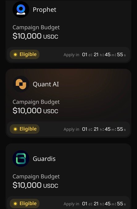 The image shows a phone screen displaying three different campaigns for various budgets of $10,000 or less. The campaigns are named "Campaign Budget", "Campaign Budgets", and "Campaign Budget". Each campaign has its own unique design with a logo at the top left corner. The text on the screen provides information about these campaigns, including their names, target audiences, and the amount they cost in USDC.