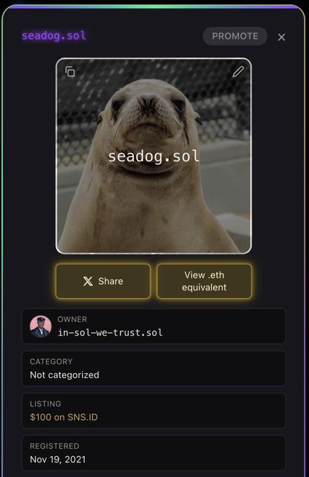 A digital listing page for 'seadog.sol' on SNS.ID showing a photo of a seal, with a listing price of '$100 on SNS.ID,' registered 'Nov 19, 2021,' and owned by 'in-sol-we-trust.sol.'