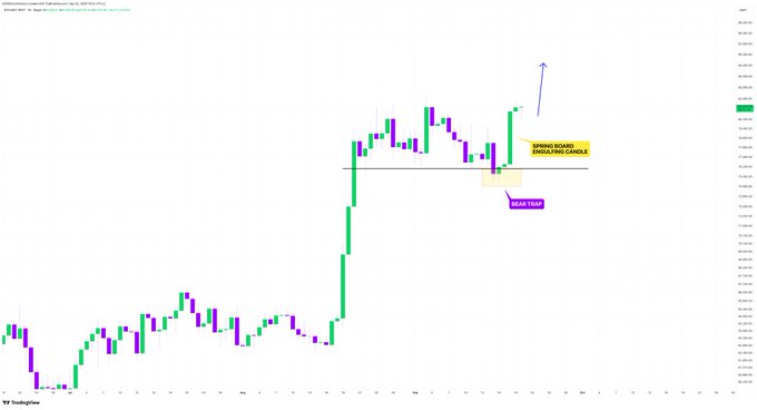 TradingView stock chart showing green and purple candlesticks with annotations indicating 'STRONG BULLISH REVERSAL CANDLE' and 'SWEET SPOT FOR BUY', pointing to a significant price increase.