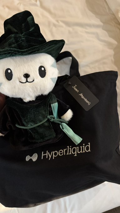 A plush toy of a white cat-like character wearing a dark green velvet robe and hat, placed on a black tote bag branded with the 'Hyperliquid' logo and a tag reading 'Jian Marchen'.
