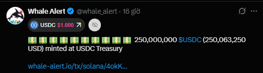 The image is a tweet from Whale Alert (@whale_alert) reporting that 250,000,000 USDC (approximately $250,063,250) was minted at the USDC Treasury on the Solana blockchain, as indicated by the USDC token icon and transaction link to whale-alert.io/tx/solana/4okk...