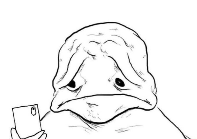 A simple black-and-white line drawing of the "Forever Alone" meme character—a hunched, faceless figure with large, drooping eyes—holding a smartphone and staring blankly at it. The caption pairs with the post by capturing the lonely, anxious sentiment of an investor uncertain whether Bitcoin's rally to $80K is sustainable or just a fleeting bear market bounce.