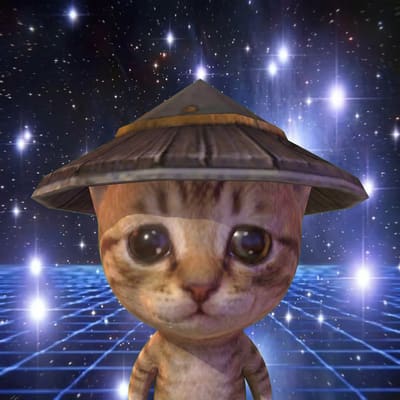 A digital rendering of an orange tabby cat with large, sad eyes wearing a traditional conical Asian straw hat against a cosmic background filled with stars and a glowing blue retro-futuristic grid floor.