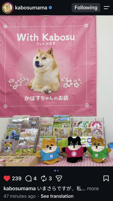 An Instagram post from @kabosumama showing a pink banner with Kabosu the Shiba Inu dog and Japanese text "With Kabosu," displayed above merchandise including plush toys and cards.
