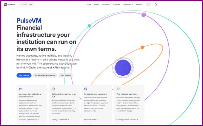 The PulseVM website homepage displaying the headline 'Financial infrastructure your institution can run on its own terms' with a description of their open-source execution layer for A-Chain, alongside an illustration of a planet with orbital rings.