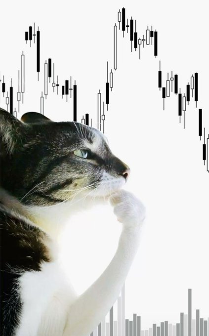 A contemplative tabby and white cat gazes thoughtfully into the distance with its paw raised to its chin, set against a backdrop of black-and-white stock candlestick charts and volume bars, visually reinforcing the "Deep in thought" caption as it mirrors a trader's pose while analyzing the markets.
